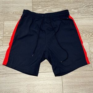 Mens Tommy Hilfiger Swimsuit